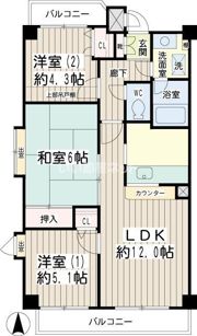 グレース川崎の間取り画像