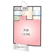 THUマンションの間取り画像