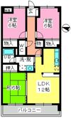 ルミエール諸岡の間取り画像