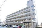 ヴェルディ深川の間取り画像
