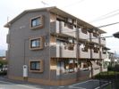 コーラルスターの間取り画像