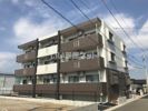 セレナイト キリシマの間取り画像