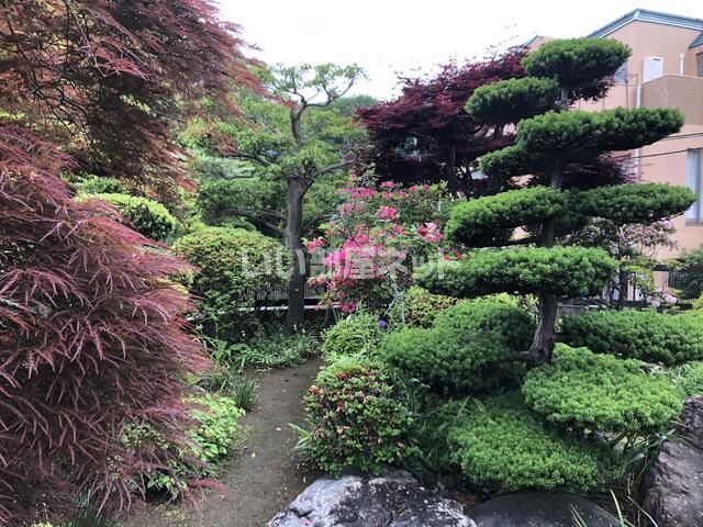 庭