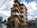 オリーブ住吉の間取り画像