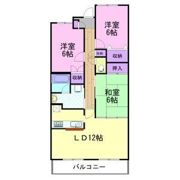 ハイツマロニエ今泉の間取り画像
