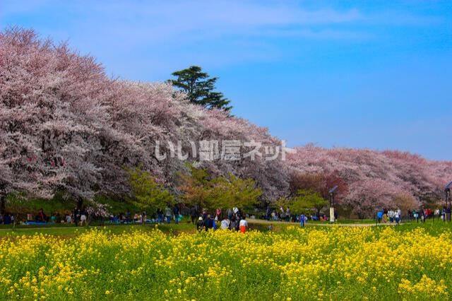 近くに施設あり
