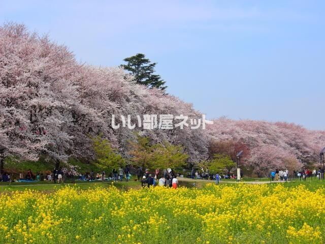 近くに施設あり