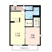 ミューザの間取り画像
