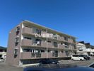 マンション山﨑の間取り画像