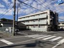 マスターグレイス穴川の間取り画像