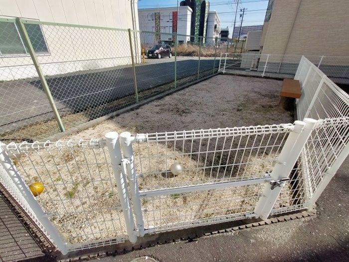 庭