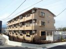 サンセール.アラクの外観