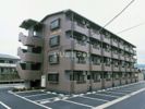 COSMO☆439の外観