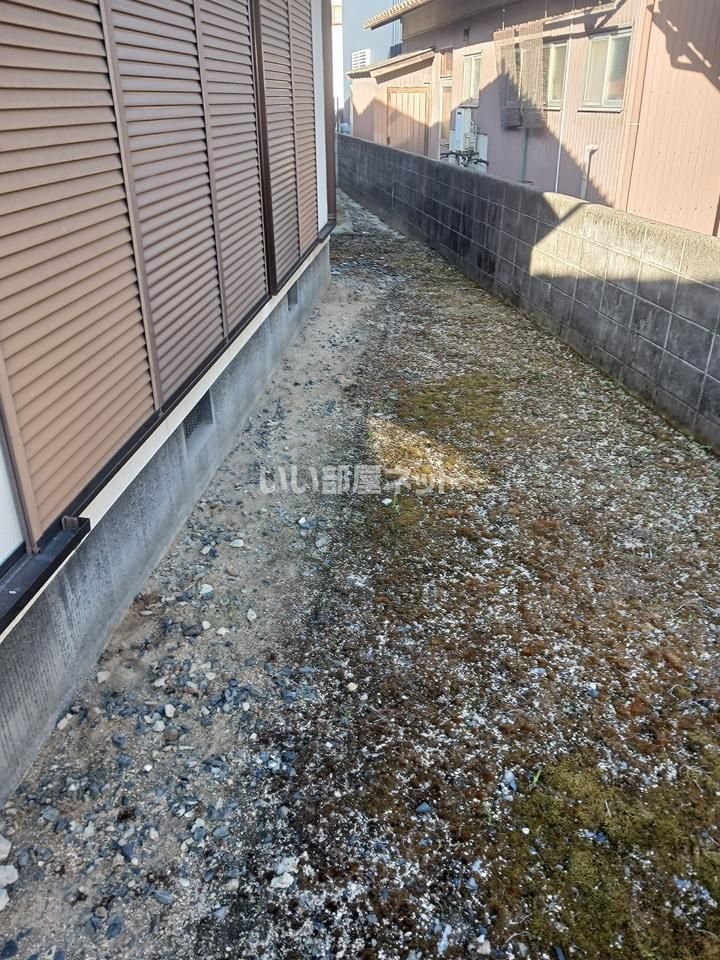 庭