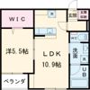 LIVE松崎の間取り画像