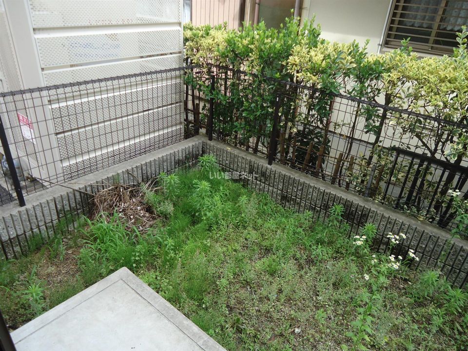 庭