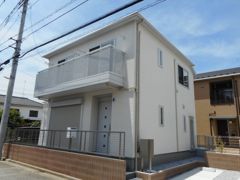 アガパンサスの外観画像