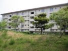 ヴィラナリー屋島3号棟の間取り画像