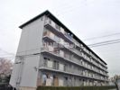 尾上グリーンハイツF棟405号の間取り画像