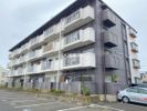 サンライズ栄の間取り画像