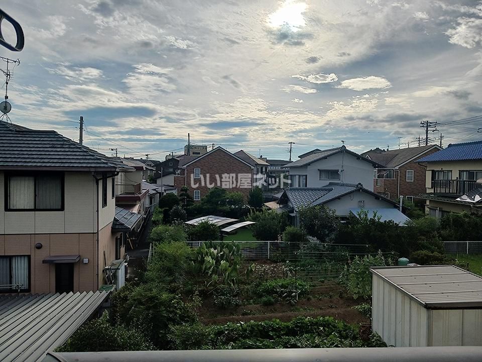 眺望