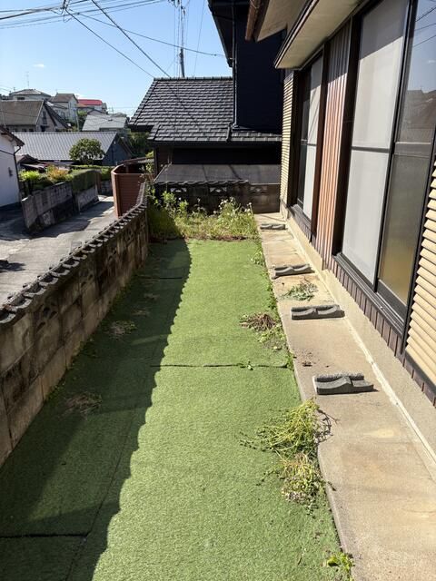 庭
