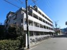 SENTIO橋本(センティオハシモト)の間取り画像
