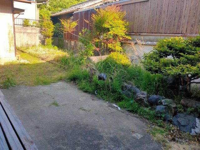 庭