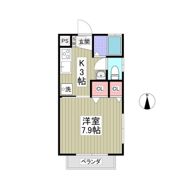 サンヴェール明光の間取り画像
