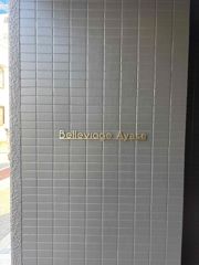 Belleviage Ayaseの外観画像