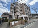 Oceanの外観