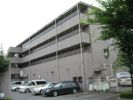 昭島コートエレガンスA棟の間取り画像