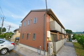 シュシュの外観画像