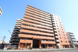 ライオンズマンション岡山南の外観画像