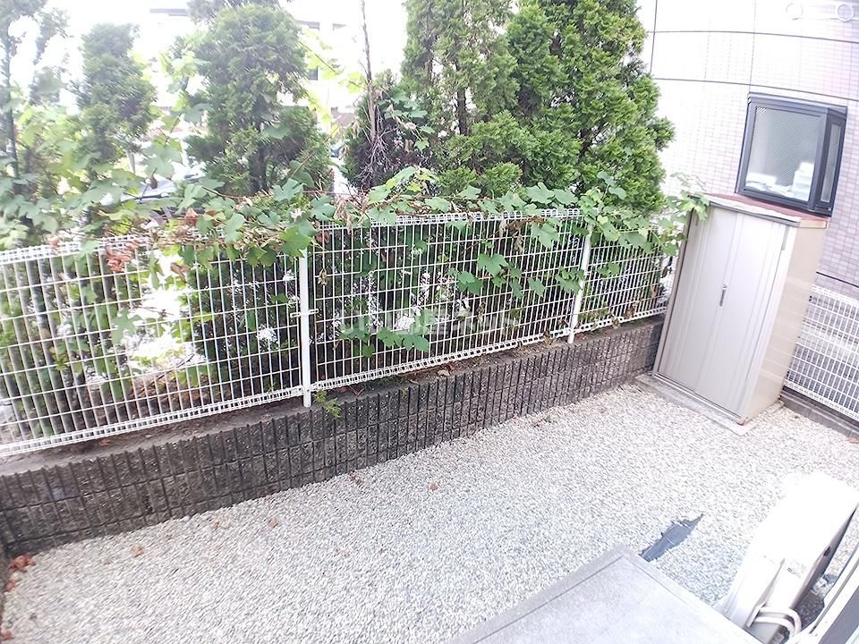 庭