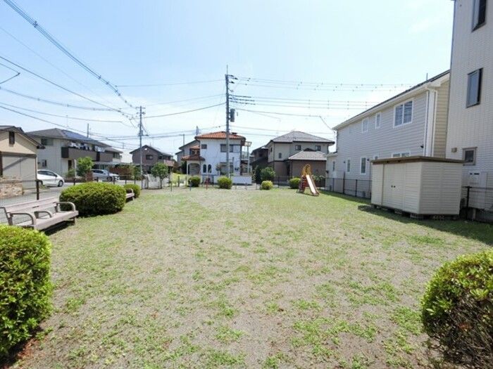 庭