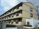 ヴァンベールの間取り画像