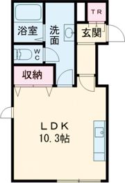 シェルト716の間取り画像