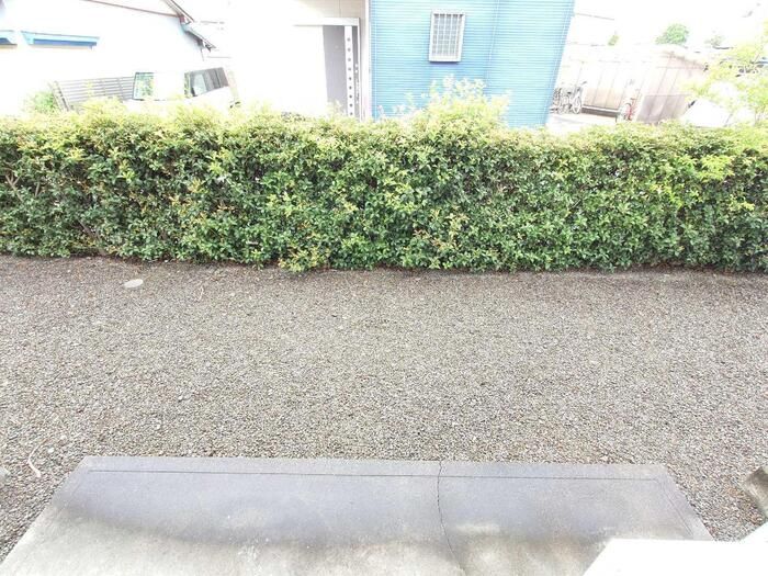庭