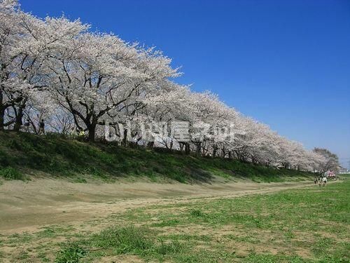 近くに施設あり