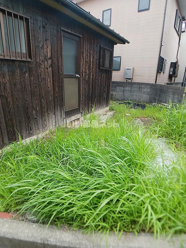 庭