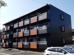シャンテコウノキの外観画像