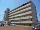 プラザ伏木の間取り画像
