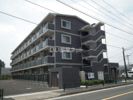ヴィオラ・コリーヌの間取り画像