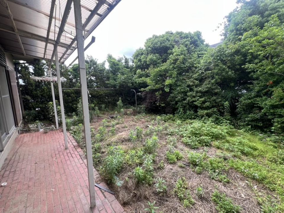 庭