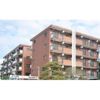 ドエルリバーサイド大島の外観