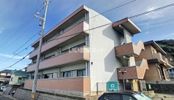 サウスハンプトンの間取り画像