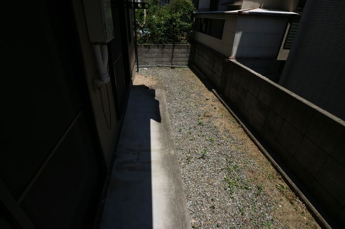 庭
