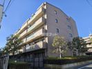 アミ浜田山の間取り画像
