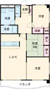 ドエル山津の間取り画像